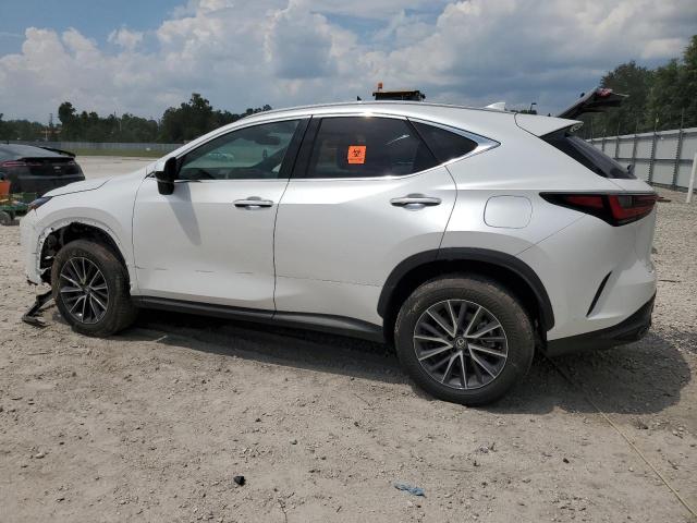 Photo 2 from auction – 2024 LEXUS NX 250 PRE with VIN 2T2GDCAZ0RC012021