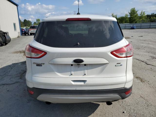 Photo 6 from auction – 2014 FORD ESCAPE SE with VIN 1FMCU9GX2EUC72473
