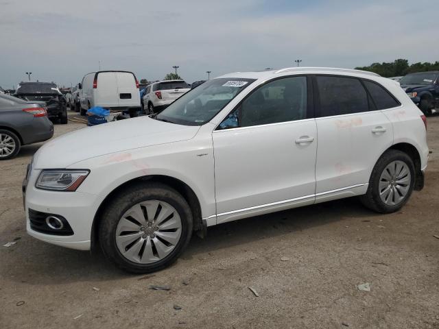 AUDI Q5 PREMIUM 2013 with VIN WA1C8AFP1DA008019 - Photo from auction