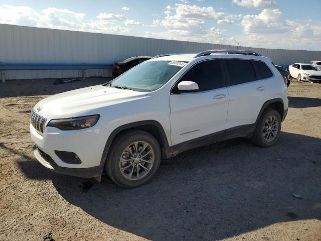 JEEP CHEROKEE L 2019 with VIN 1C4PJLLX4KD353505 - Photo from auction