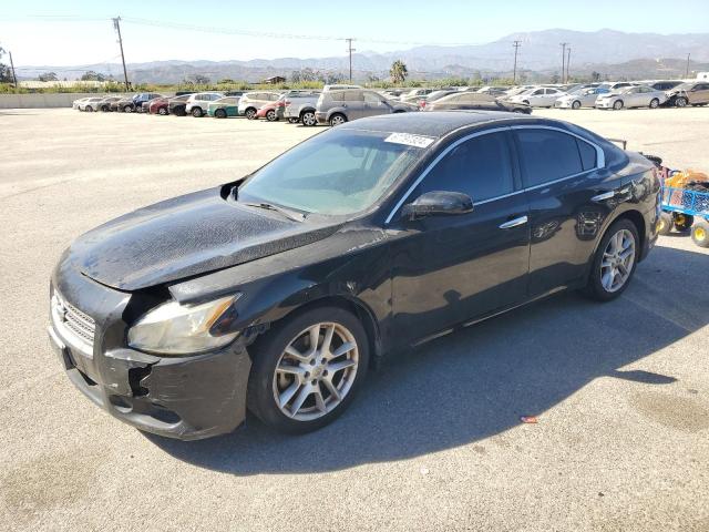 NISSAN MAXIMA S 2009 with VIN 1N4AA51E09C850978 - Photo from auction