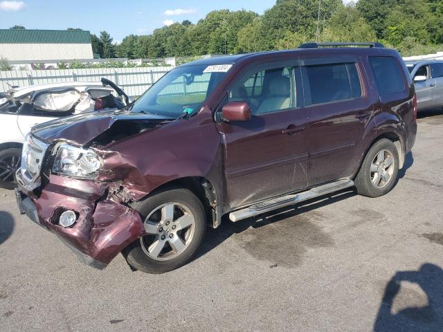 HONDA PILOT EXL 2010 with VIN 5FNYF4H5XAB034300 - Photo from auction