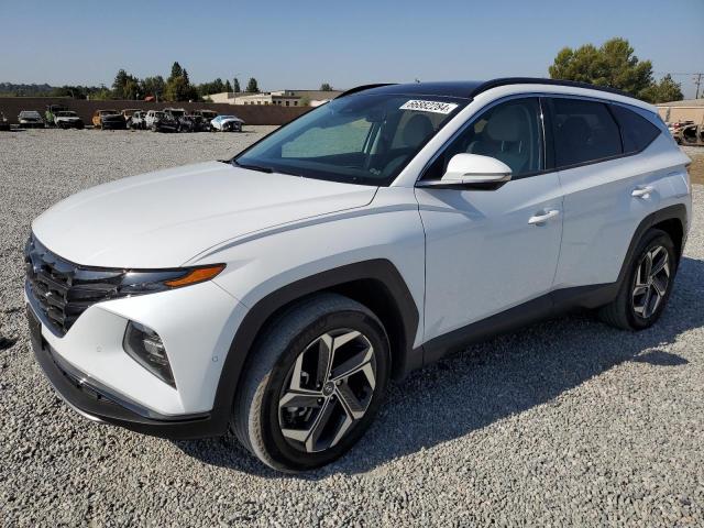 HYUNDAI TUCSON LIM 2023 with VIN KM8JFDA2XPU120221 - Photo from auction
