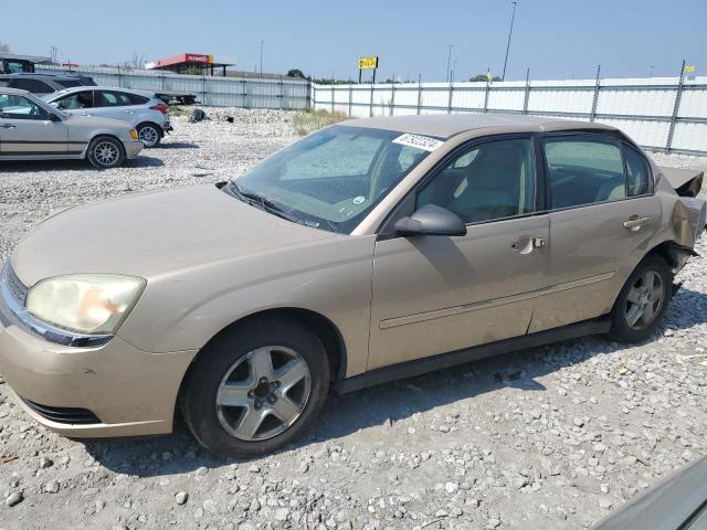 CHEVROLET MALIBU 2004 with VIN 1G1ZT54874F116187 - Photo from auction