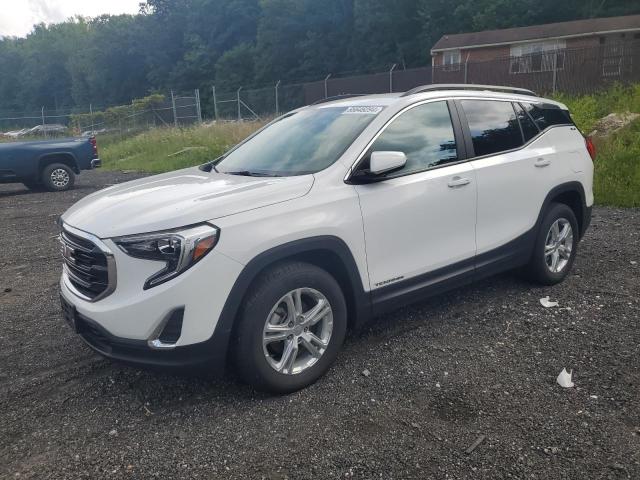 GMC TERRAIN SL 2021 with VIN 3GKALTEVXML388482 - Photo from auction