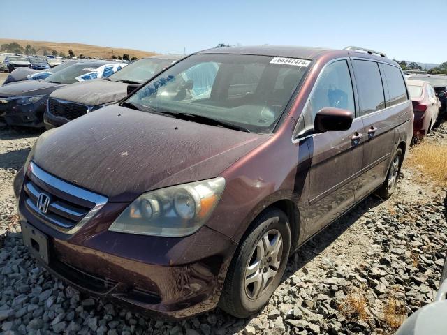 HONDA ODYSSEY EX 2007 with VIN 5FNRL38737B126334 - Photo from auction