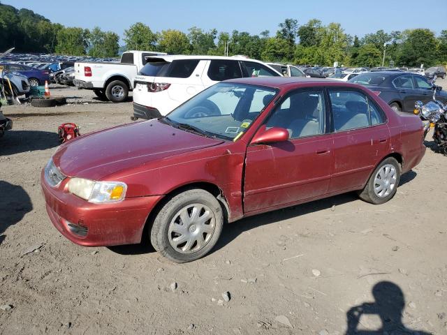 TOYOTA COROLLA 2001 with VIN 1NXBR12E91Z515646 - Photo from auction