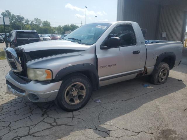 DODGE RAM 1500 2002 with VIN 1D7HA16NX2J236702 - Photo from auction