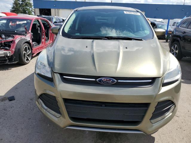 Photo 5 from auction – 2014 FORD ESCAPE SE with VIN 1FMCU0GX0EUB28481