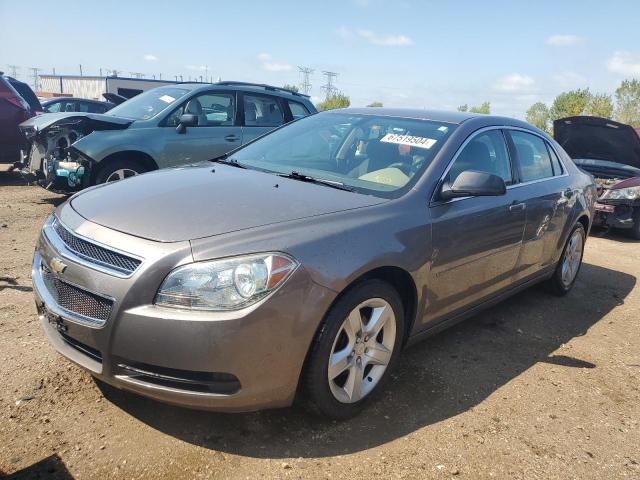 CHEVROLET MALIBU LS 2011 with VIN 1G1ZB5E19BF252791 - Photo from auction
