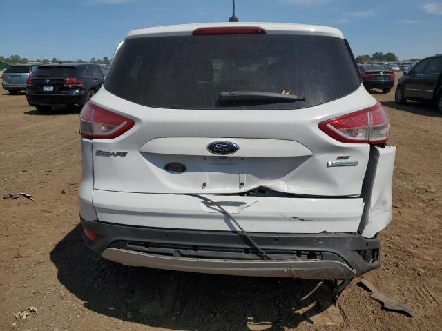 Photo 6 from auction – 2014 FORD ESCAPE SE with VIN 1FMCU0GX7EUC69337