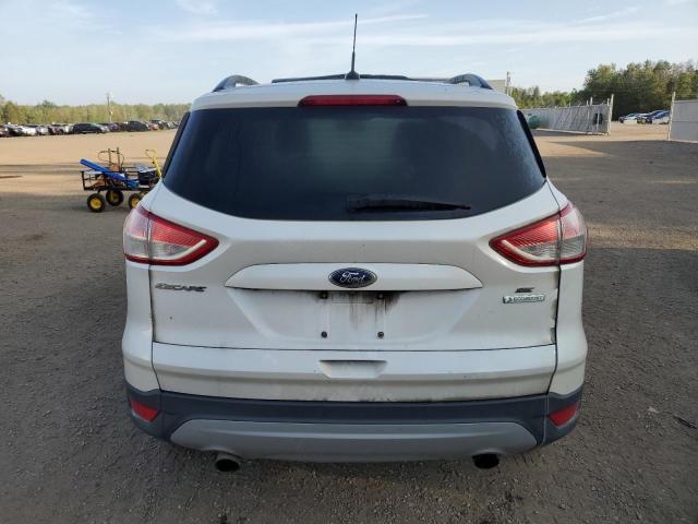 Photo 6 from auction – 2014 FORD ESCAPE SE with VIN 1FMCU0GX4EUB82396