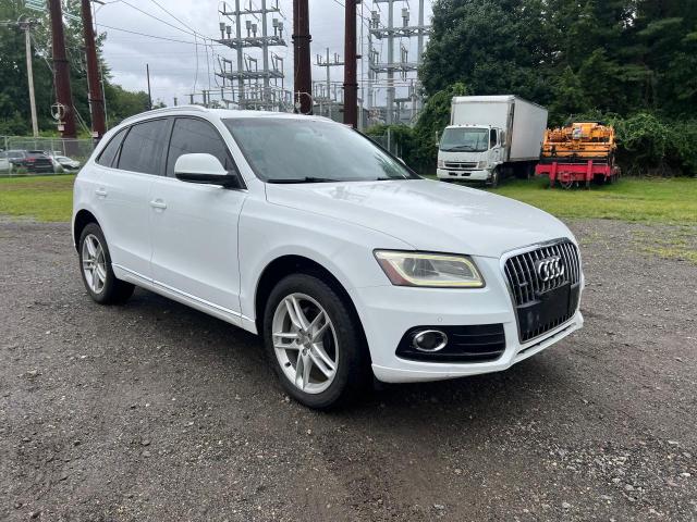 AUDI Q5 PREMIUM 2013 with VIN WA1LFAFP7DA042293 - Photo from auction