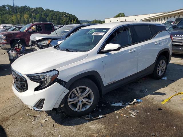 GMC TERRAIN SL 2018 with VIN 3GKALMEV2JL285669 - Photo from auction