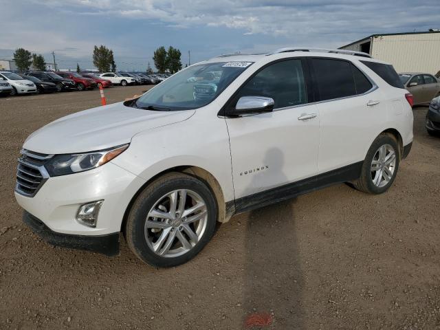 CHEVROLET EQUINOX PR 2020 with VIN 2GNAXYEX7L6195344 - Photo from auction