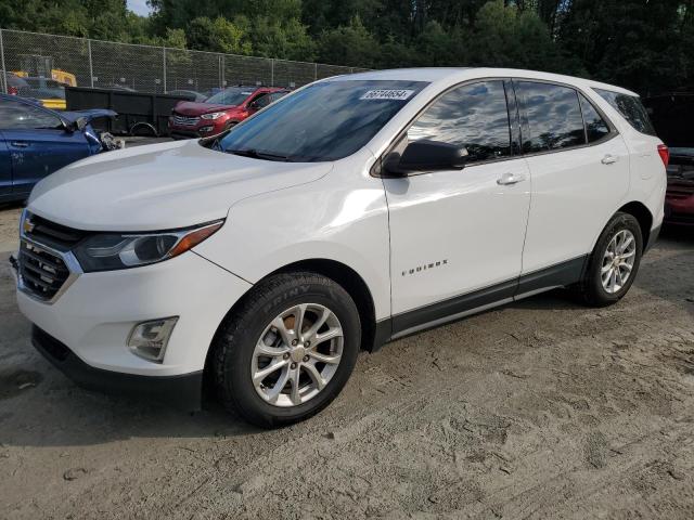 CHEVROLET EQUINOX LS 2019 with VIN 2GNAXHEV0K6259026 - Photo from auction