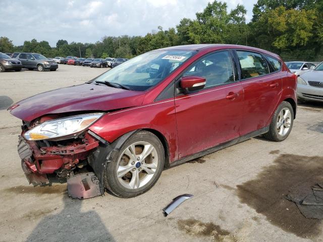 FORD FOCUS SE 2014 с VIN 1FADP3K25EL334565 - Фото с аукциона