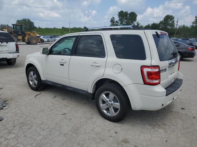 Photo 2 from auction – 2010 FORD ESCAPE LIM with VIN 1FMCU0E79AKB09887