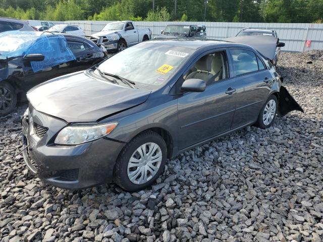 TOYOTA COROLLA BA 2010 with VIN 1NXBU4EE7AZ326554 - Photo from auction