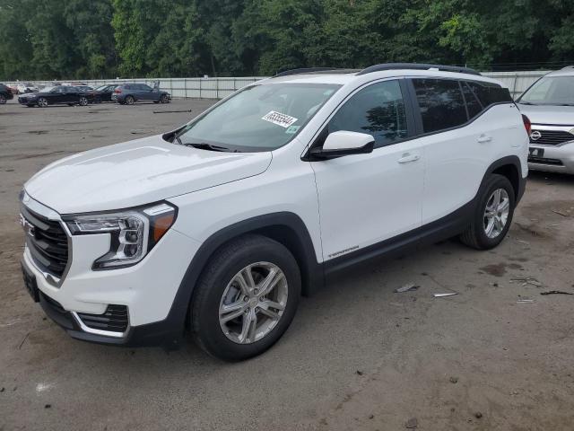 GMC TERRAIN SL 2023 with VIN 3GKALMEG7PL222688 - Photo from auction