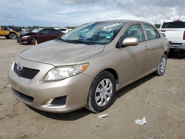 TOYOTA COROLLA BA 2010 with VIN 2T1BU4EE8AC524013 - Photo from auction