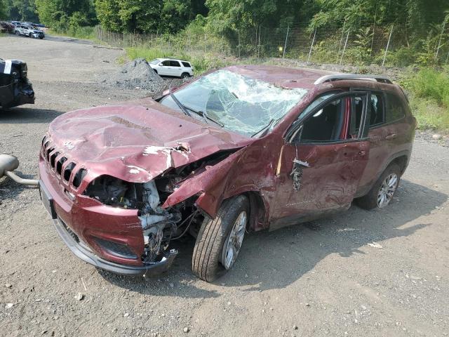 JEEP CHEROKEE L 2021 with VIN 1C4PJMCB8MD153191 - Photo from auction