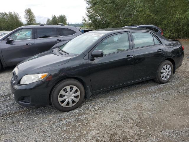 TOYOTA COROLLA BA 2010 with VIN 1NXBU4EE9AZ386027 - Photo from auction