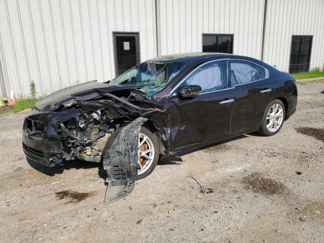NISSAN MAXIMA S 2013 with VIN 1N4AA5AP9DC841710 - Photo from auction