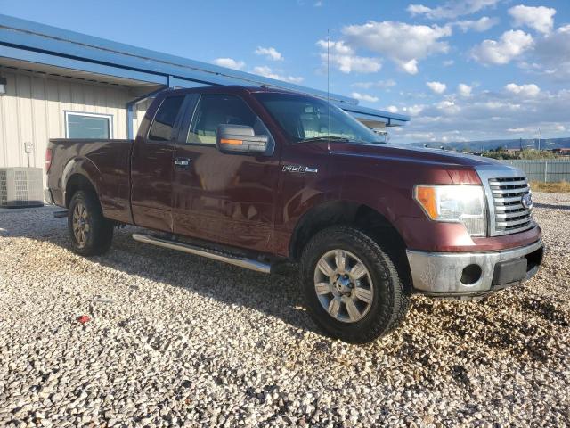 Photo 4 from auction – 2010 FORD F150 SUPER with VIN 1FTEX1C87AFB10714