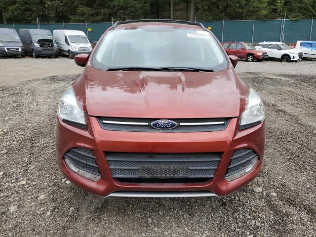 Photo 5 from auction – 2014 FORD ESCAPE SE with VIN 1FMCU0GX2EUD56420