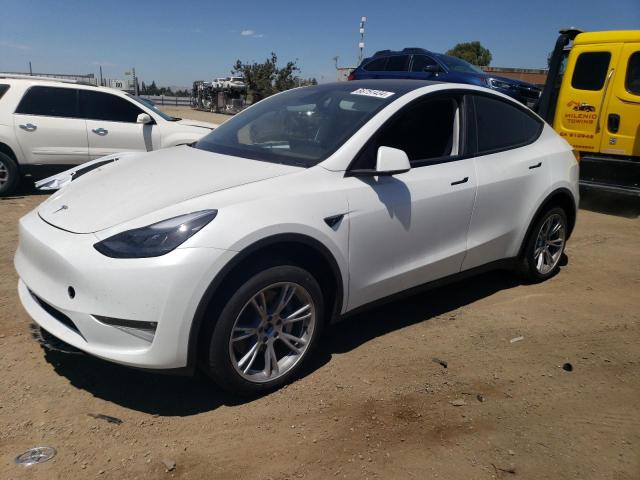 TESLA MODEL Y 2023 with VIN 7SAYGDEE5PF861196 - Photo from auction