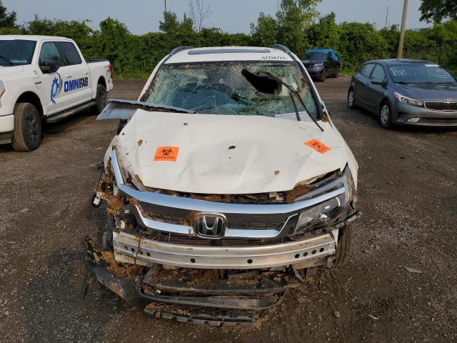 Photo 5 from auction – 2019 HONDA PILOT EXL with VIN 5FNYF6H77KB500473