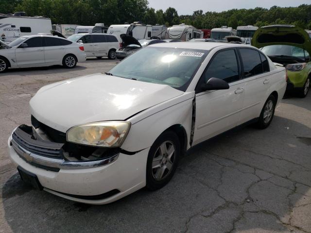 CHEVROLET MALIBU LS 2005 with VIN 1G1ZT52825F115789 - Photo from auction