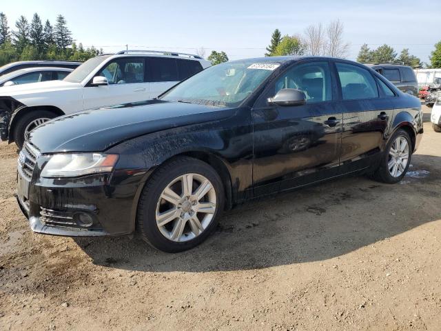 AUDI A4 PREMIUM 2010 with VIN WAUBFAFL0AN009832 - Photo from auction