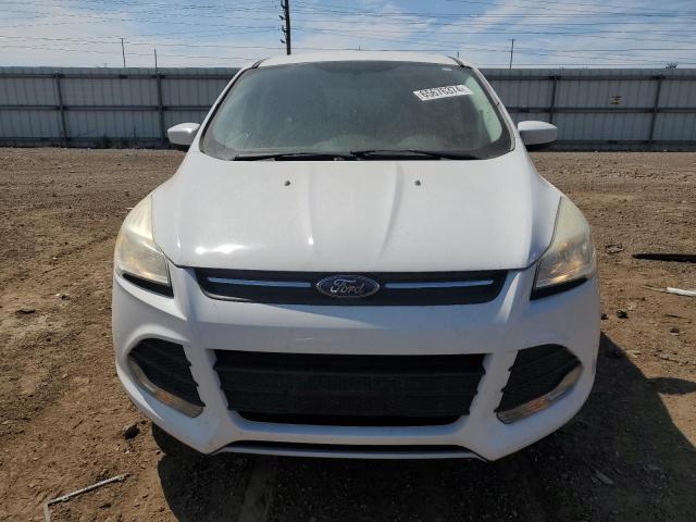 Photo 5 from auction – 2014 FORD ESCAPE SE with VIN 1FMCU0GX7EUC69337