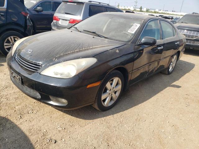 LEXUS ES 330 2004 with VIN JTHBA30G845037860 - Photo from auction