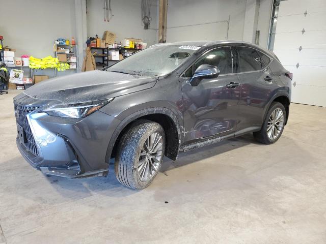 LEXUS NX 350H 2022 with VIN 2T2GKCEZ7NC002239 - Photo from auction