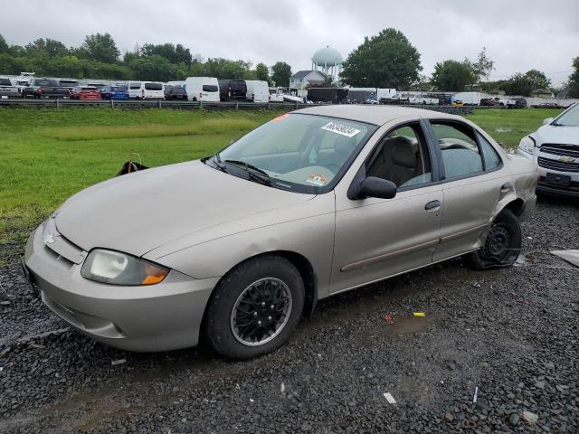 CHEVROLET CAVALIER 2003 with VIN 1G1JC52F437139188 - Photo from auction