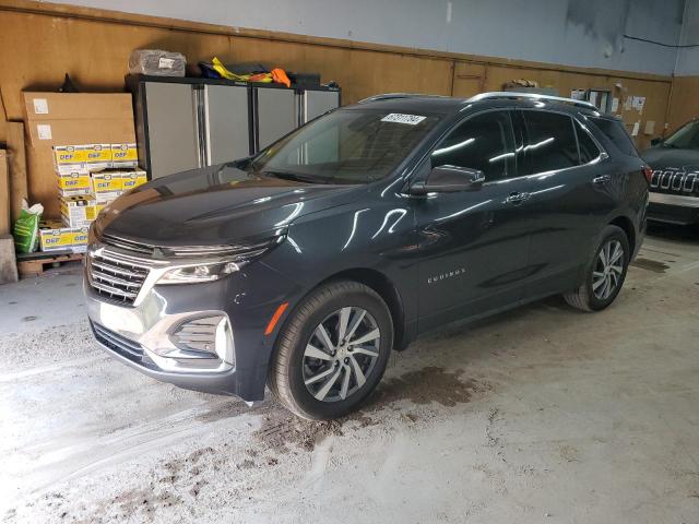CHEVROLET EQUINOX PR 2022 with VIN 2GNAXXEVXN6146568 - Photo from auction