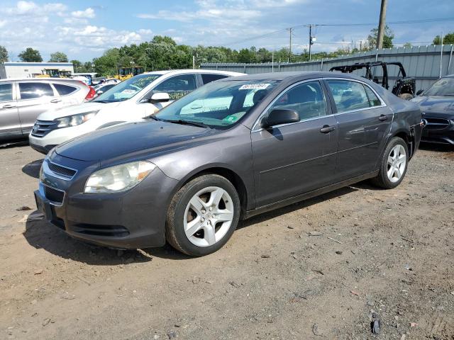 CHEVROLET MALIBU LS 2010 with VIN 1G1ZA5EB2AF285156 - Photo from auction