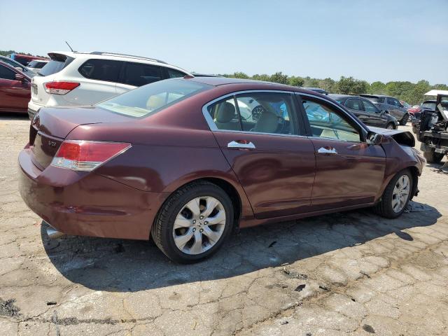 Photo 3 from auction – 2010 HONDA ACCORD EXL with VIN 5KBCP3F84AB013202
