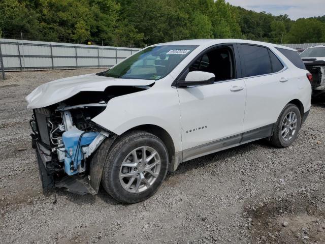 CHEVROLET EQUINOX LT 2023 with VIN 3GNAXTEG8PS196125 - Photo from auction