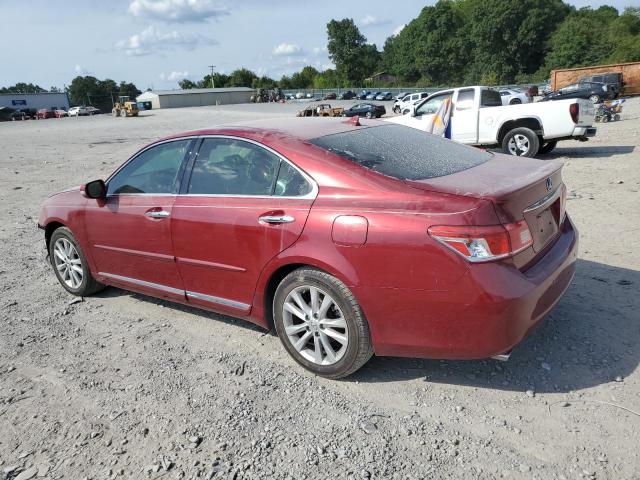 Photo 2 from auction – 2011 LEXUS ES 350 with VIN JTHBK1EG6B2449719