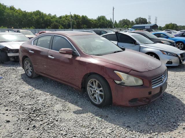 Photo 4 from auction – 2010 NISSAN MAXIMA S with VIN 1N4AA5APXAC818285