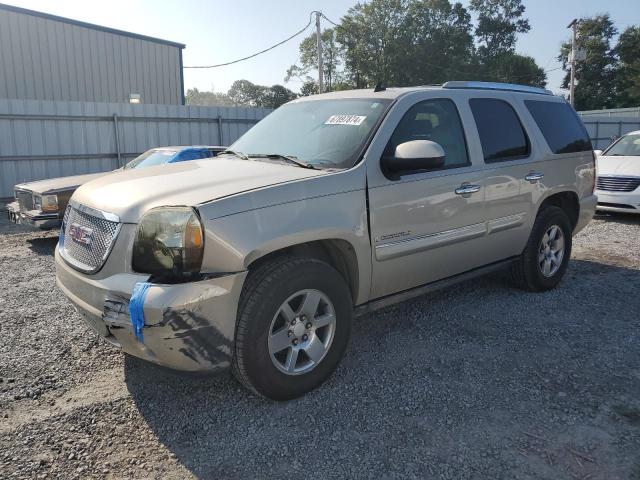 GMC YUKON DENA 2007 with VIN 1GKFK638X7J297621 - Photo from auction