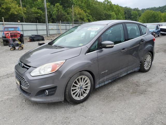 FORD C-MAX SEL 2014 with VIN 1FADP5BU4EL502662 - Photo from auction