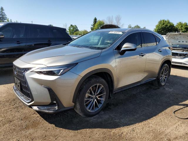 LEXUS NX 250 BAS 2024 with VIN 2T2ADCEZ4RC004990 - Photo from auction