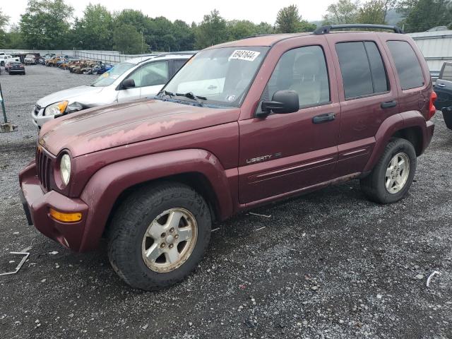 JEEP LIBERTY 2003 with VIN 1J4GL58K83W501111 - Photo from auction
