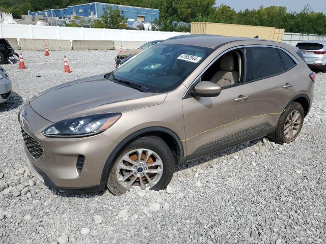 FORD ESCAPE SE 2020 with VIN 1FMCU0G68LUB29611 - Photo from auction