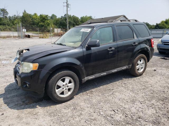 FORD ESCAPE XLT 2009 with VIN 1FMCU93G39KA21288 - Photo from auction